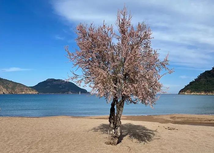 Отель Gemicihan Bungalov *